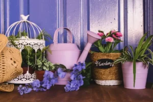 A collection of colorful potted plants.