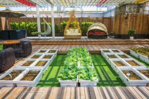A vibrant rooftop garden featuring leafy plants in white containers